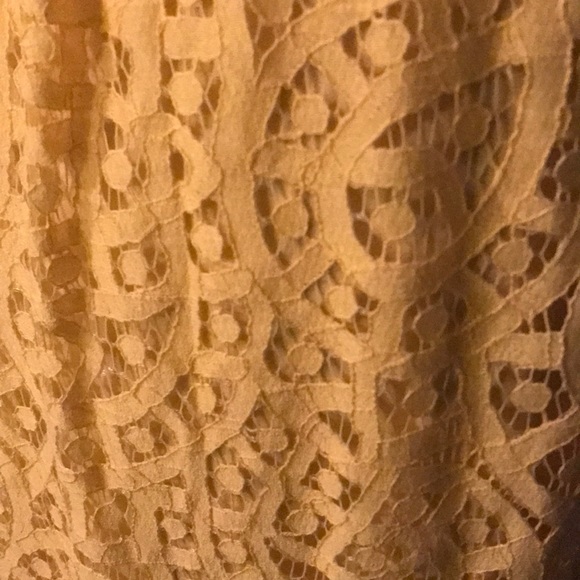 Plus size yellow lace dress - Picture 2 of 4